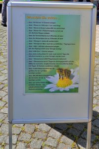 Imkerstand_Rosenmarkt_20225_1